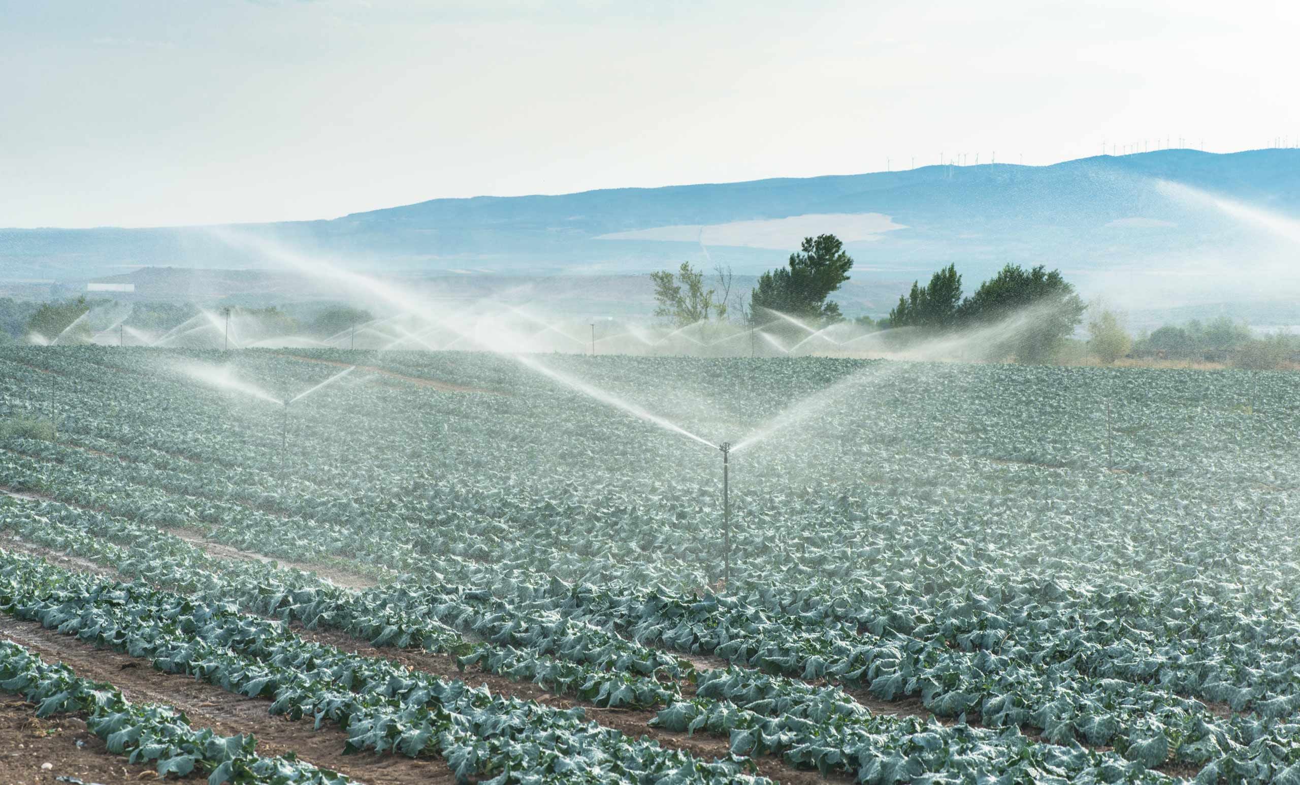 sistemi irrigazione agricoltura
